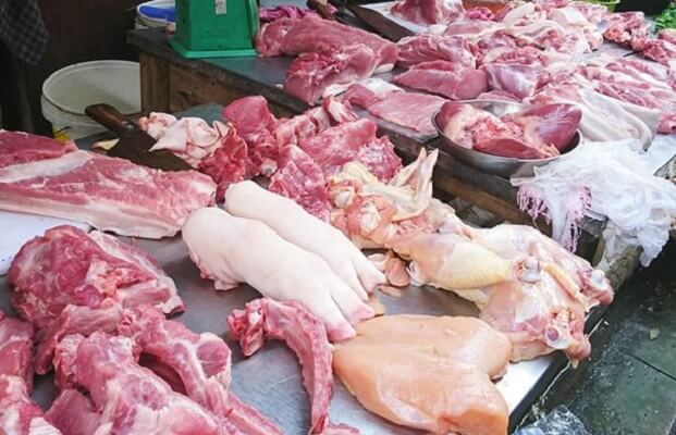 ăn phải heo tai xanh có bị bệnh không