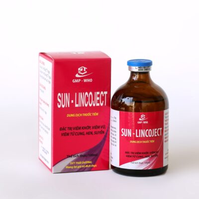 SUN - LINCOJECT