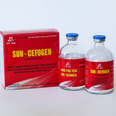 SUN - CEFOGEN