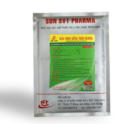 SUN - MEN SỐNG THÁI DƯƠNG