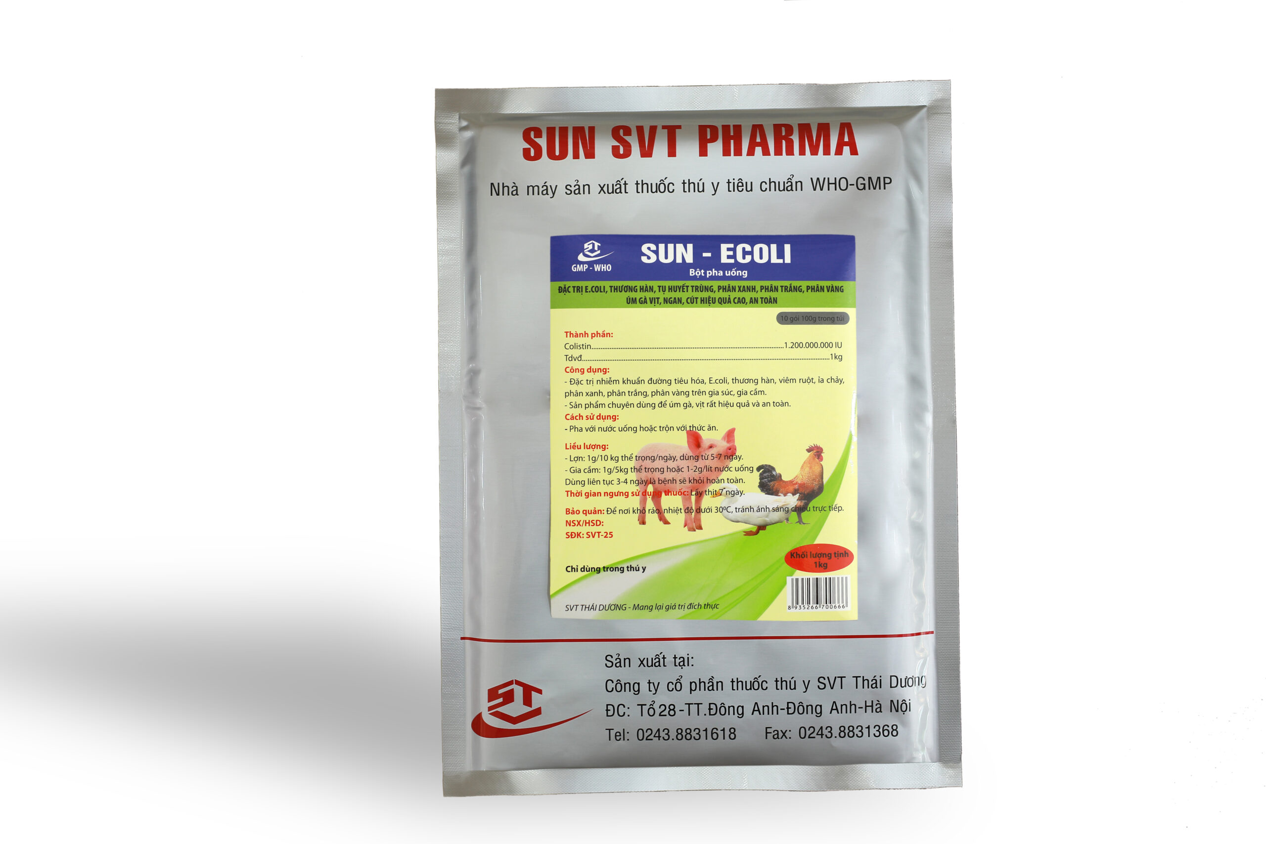 SUN - ECOLI