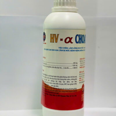 HV - α CHOAY Oral