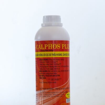 SUN - CALPHOS PLUS