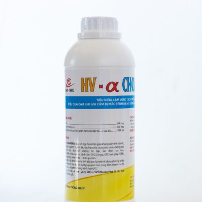 HV – α CHOAY Oral