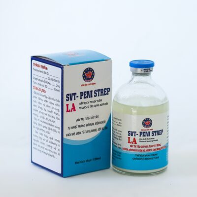 SVT- PENI STREP LA
