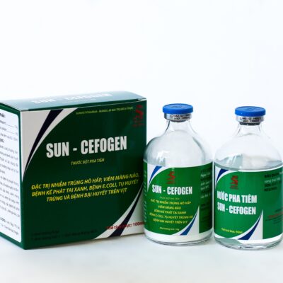 SUN – APM